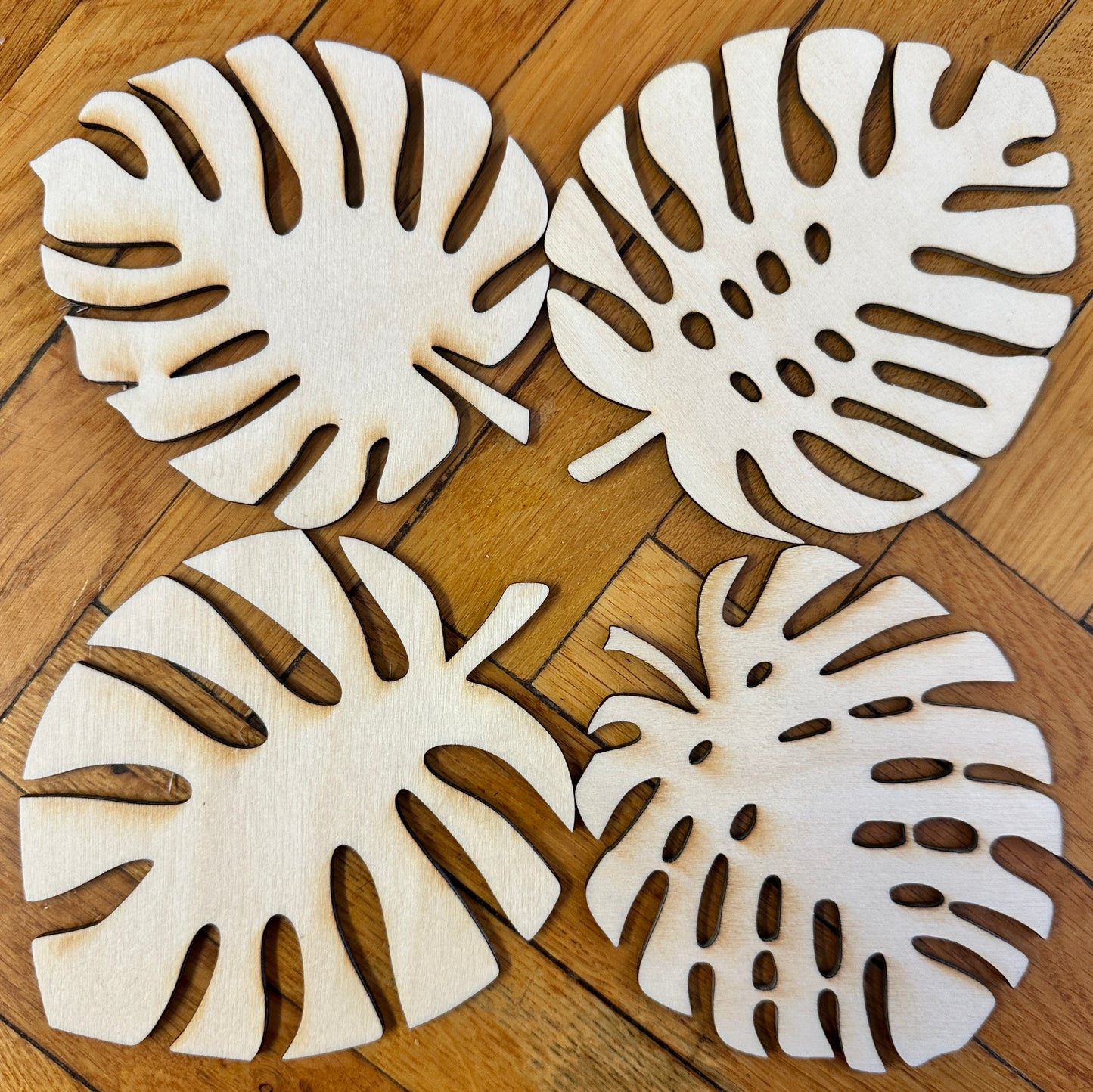 4 pk coasters – Monsterablader i bjørkefiner