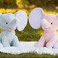 Fødselsbamse (elefant)